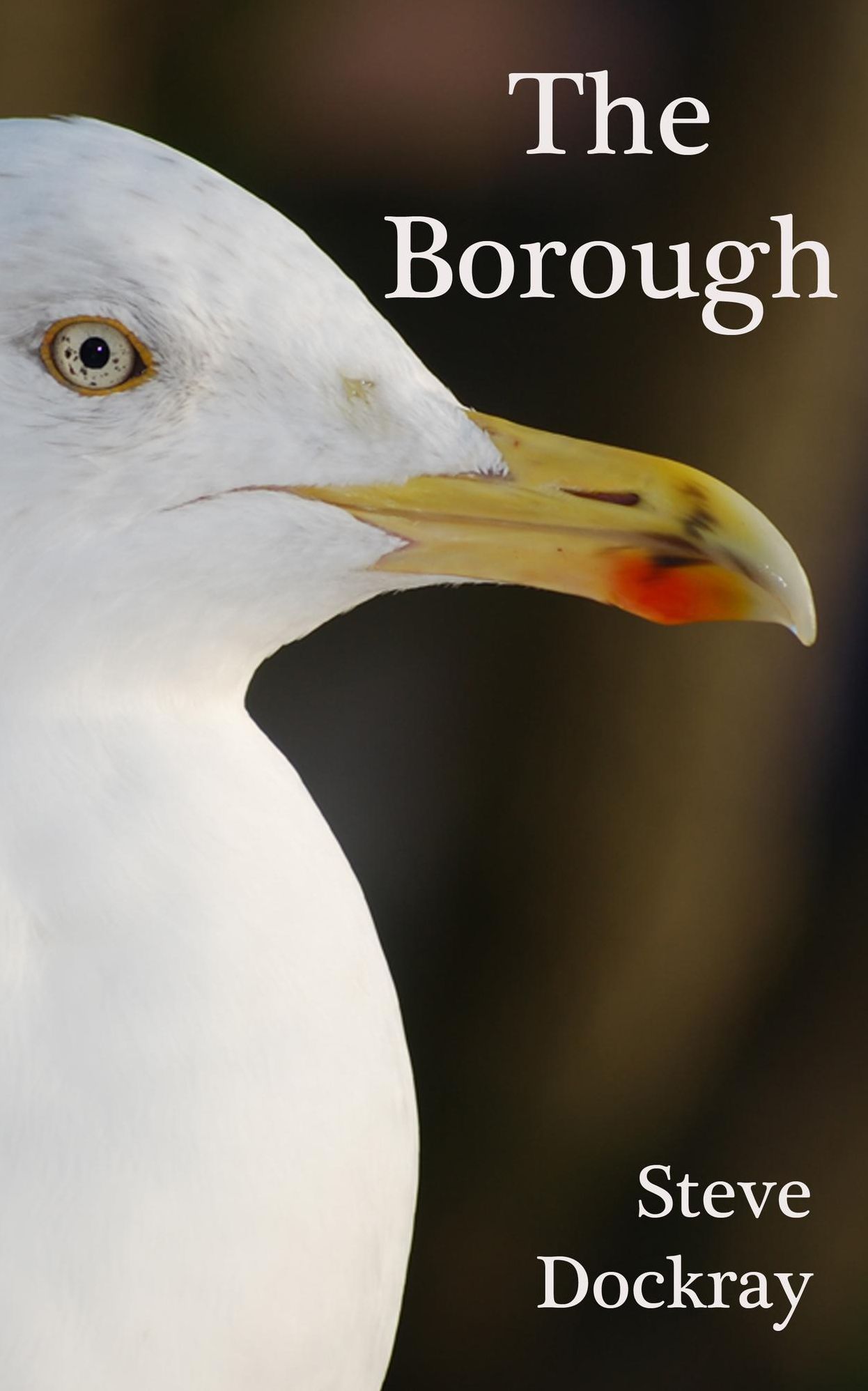 The Borough