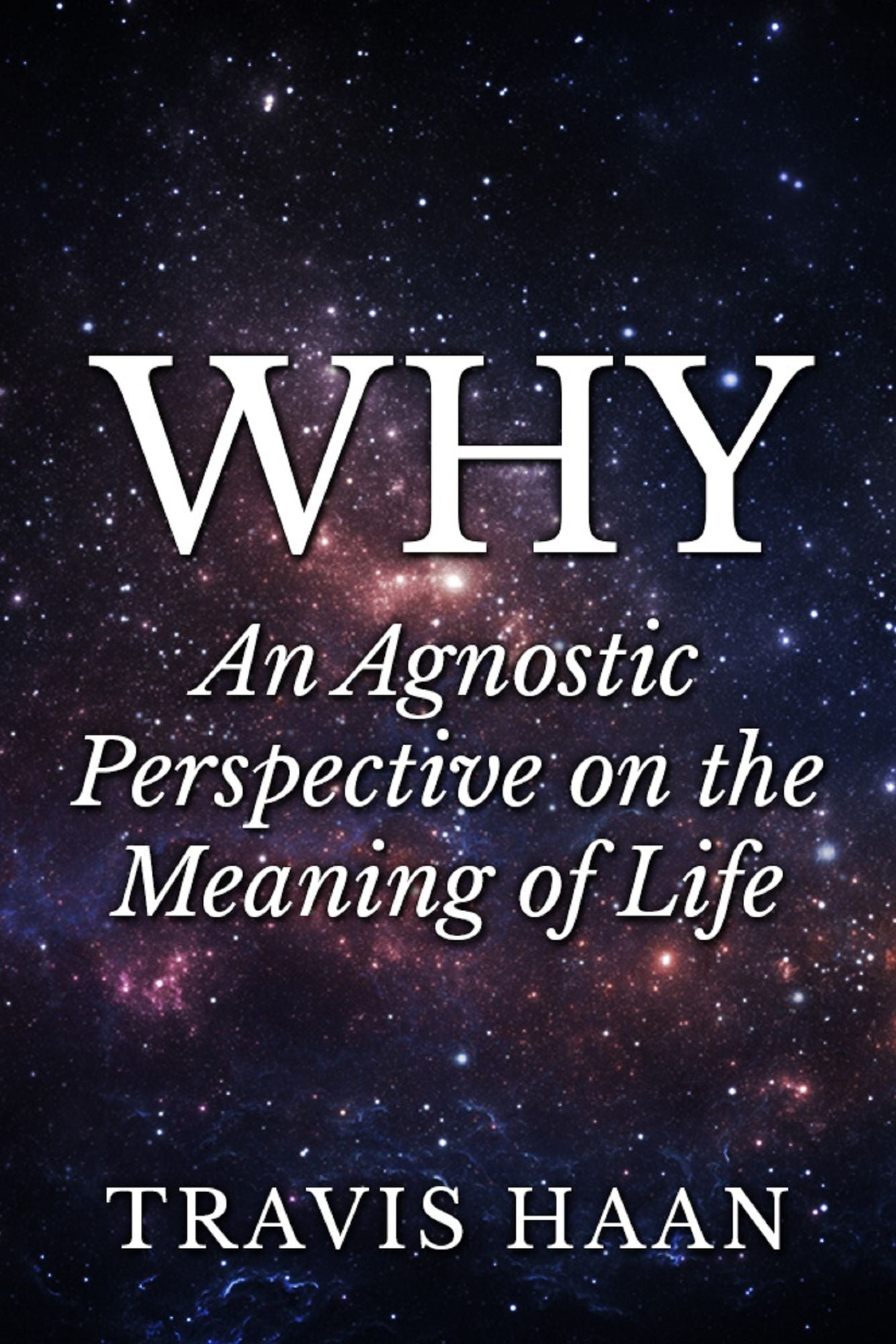 Why: An Agnostic Perspective on the Meaning of Life