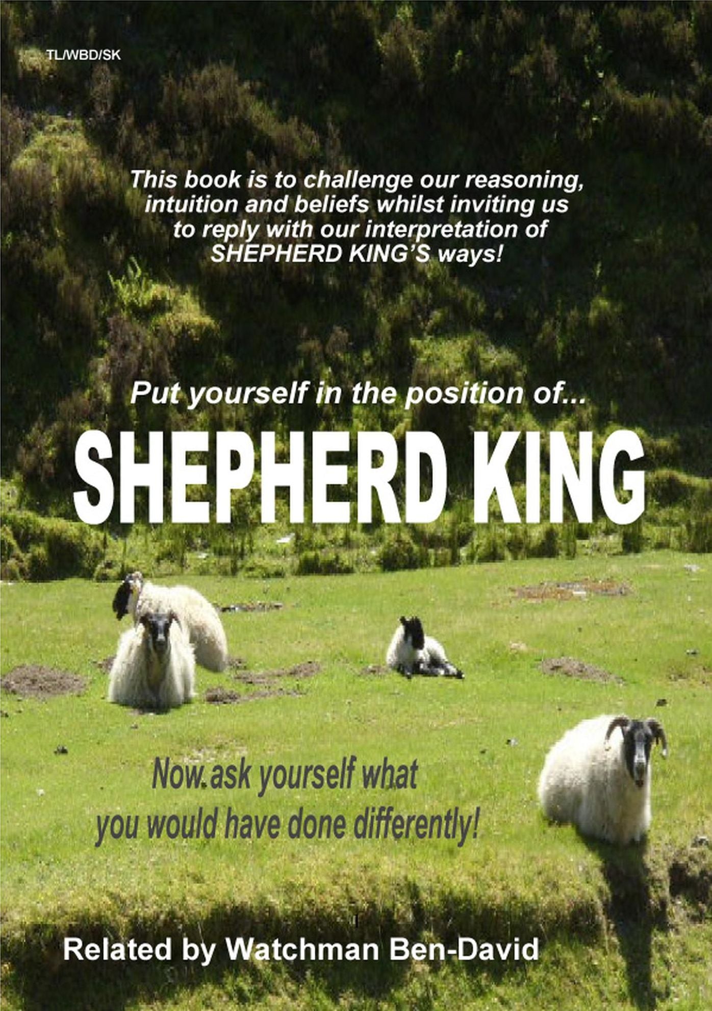 Shepherd King