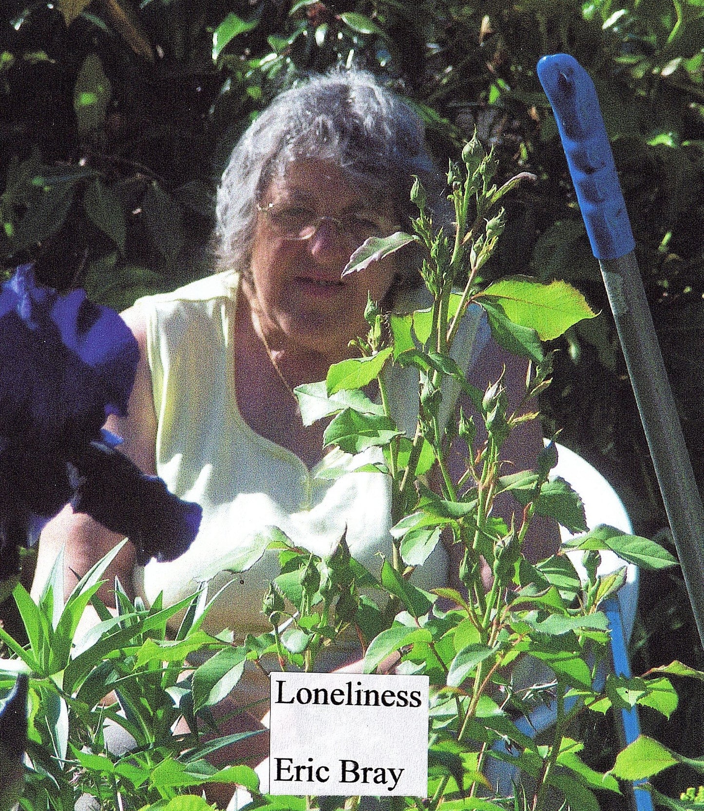 Loneliness