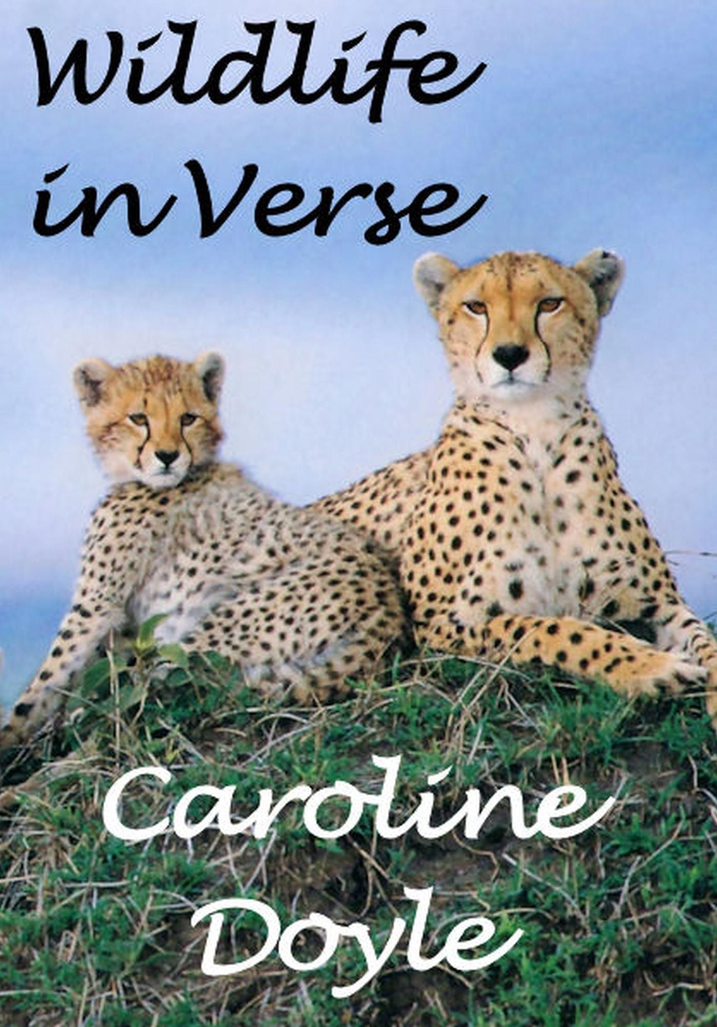 Wildlife In Verse