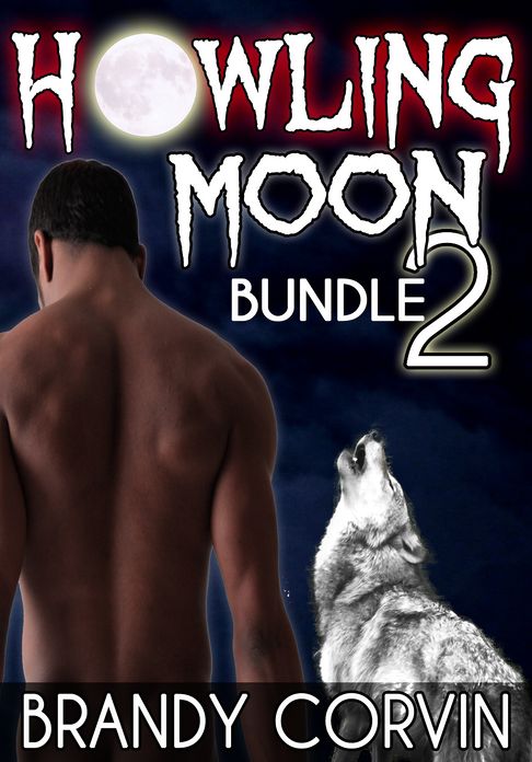 Howling Moon Bundle 2: 3 more Sizzling Erotic Werewolf stories + 1 Bonus Werewolf story by Annabel Bastione!