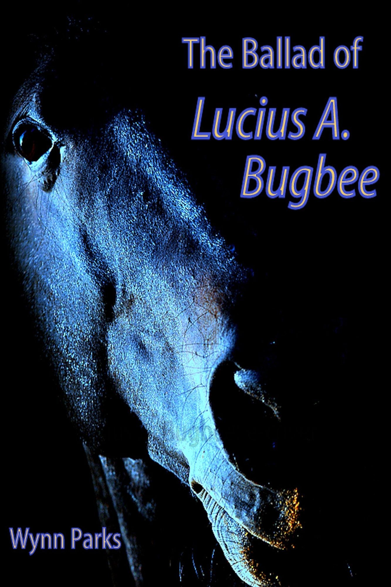 The Ballad of Lucius A. Bugbee