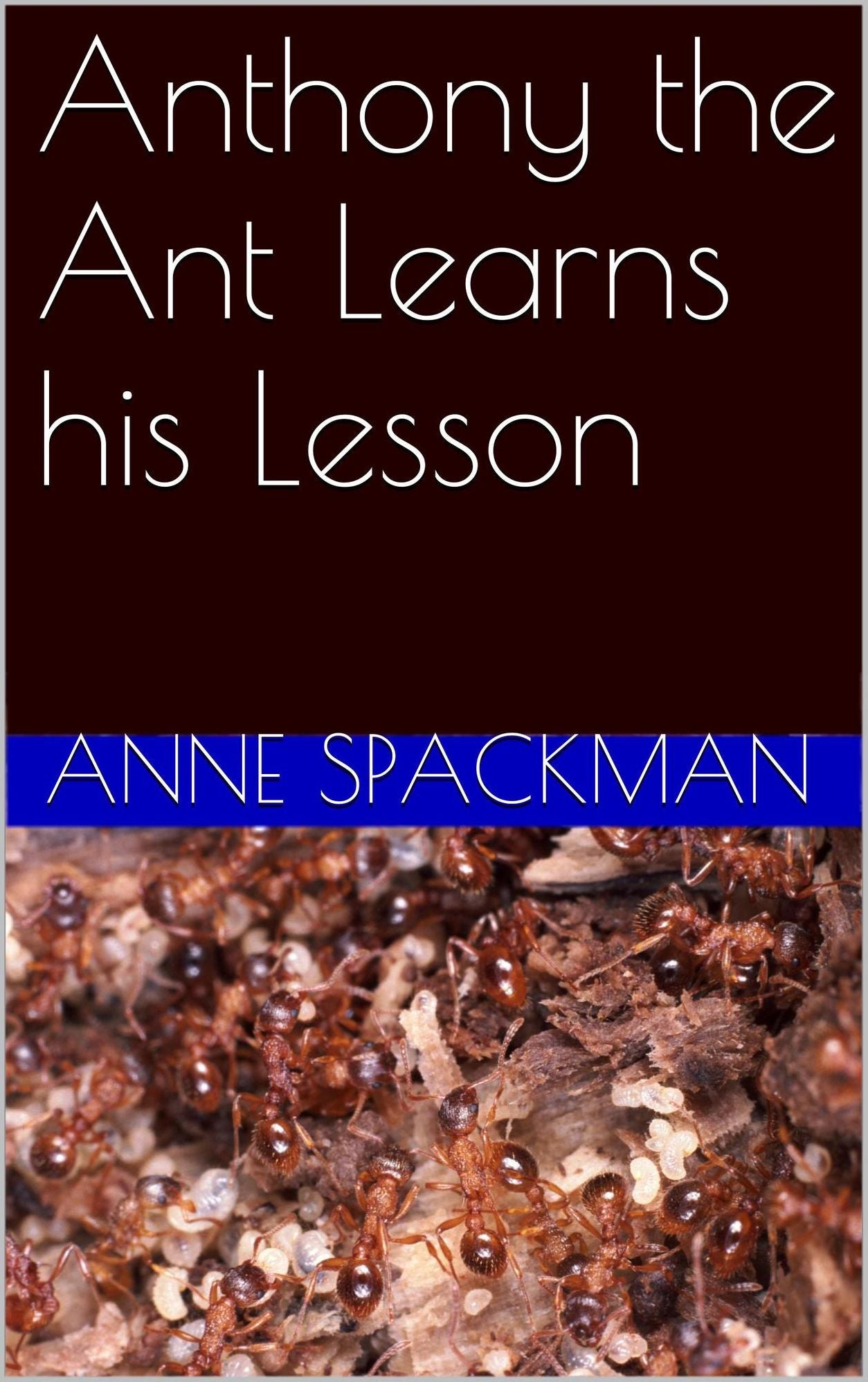 Anthony the Ant Learns his Lesson