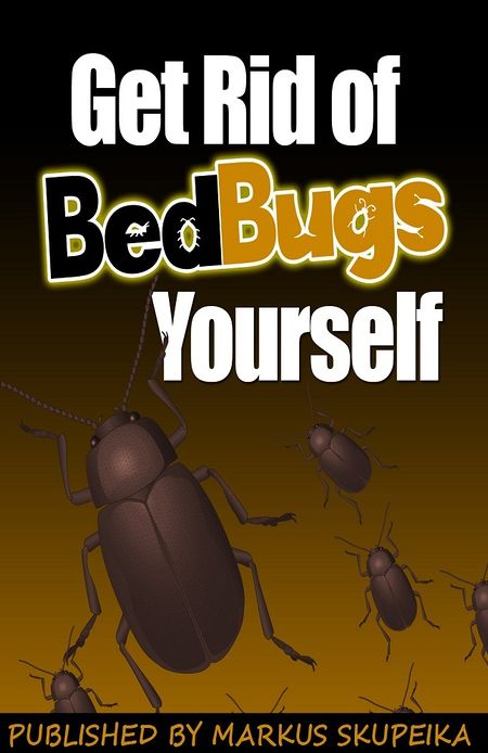 How To Get Rid Of Bed Bugs Yourself