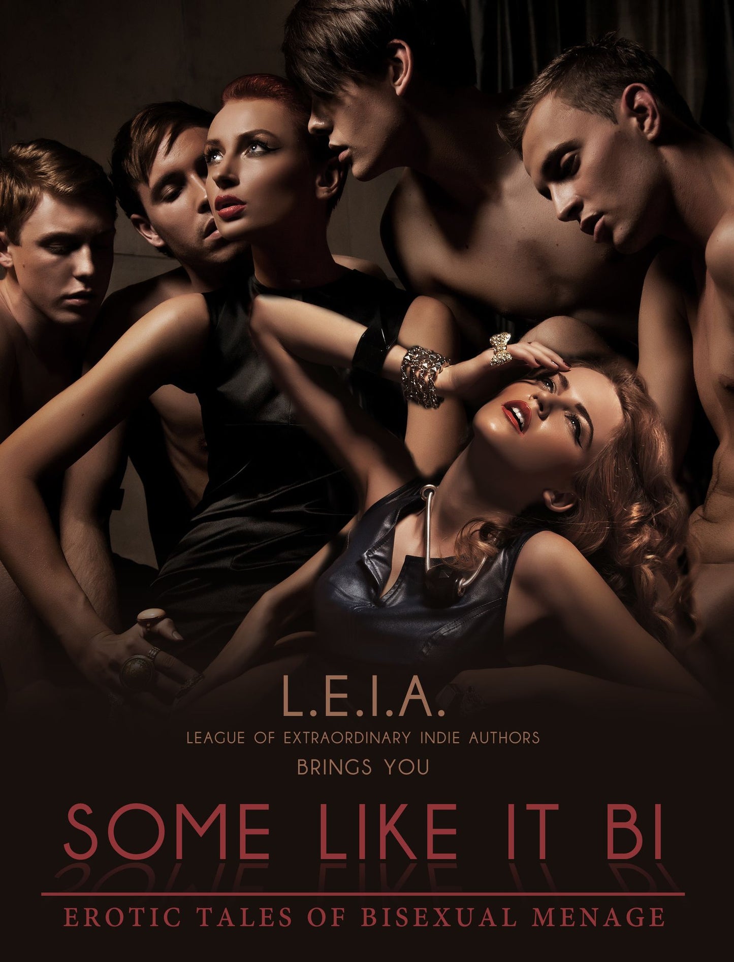 Some Like it Bi: Erotic Tales of Bisexual Menage