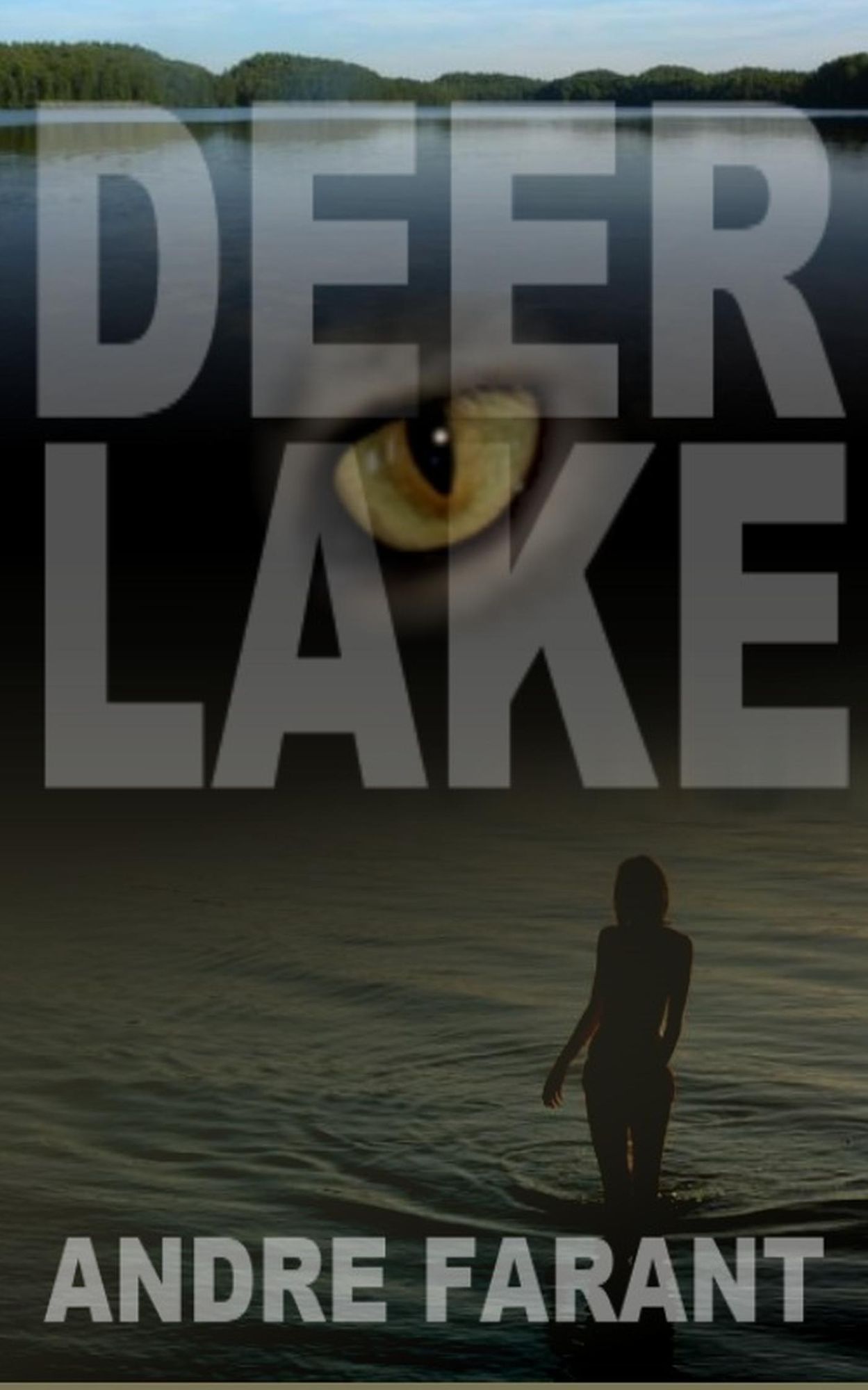 Deer Lake: A Novel