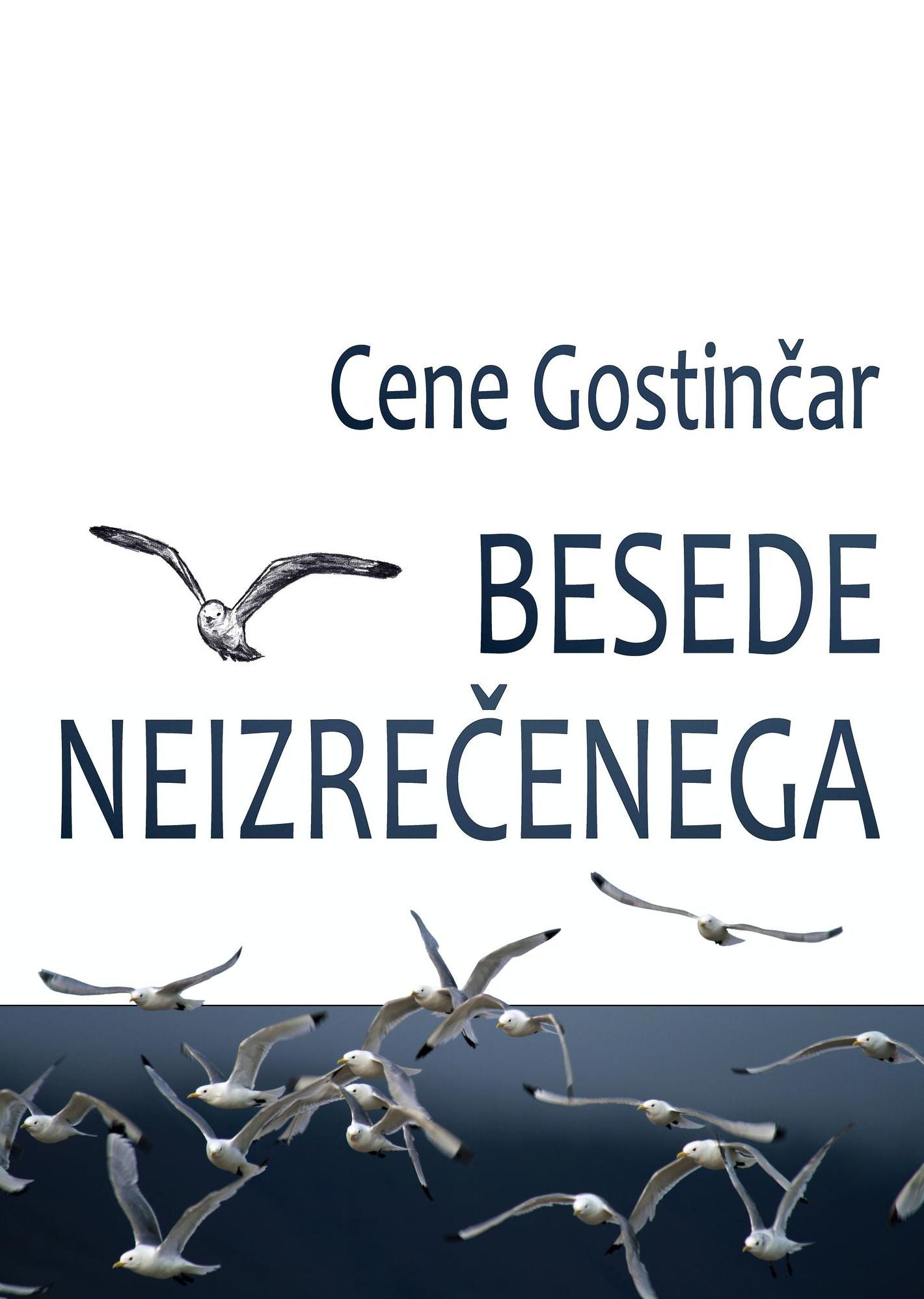 Besede Neizrecenega