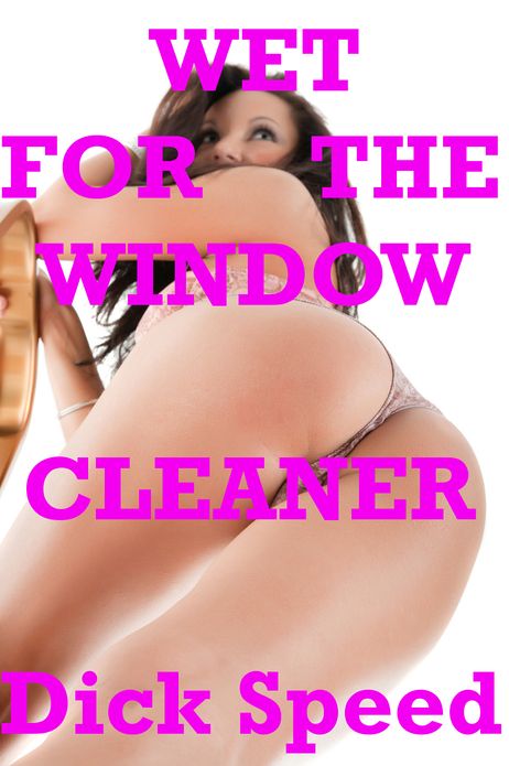 Wet for the Window Cleaner