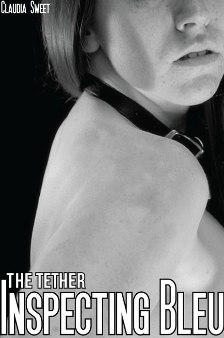 The Tether: Inspecting Bleu