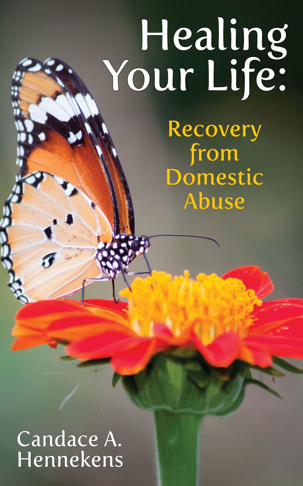 Healing Your Life: Recovery from Domestic Abuse