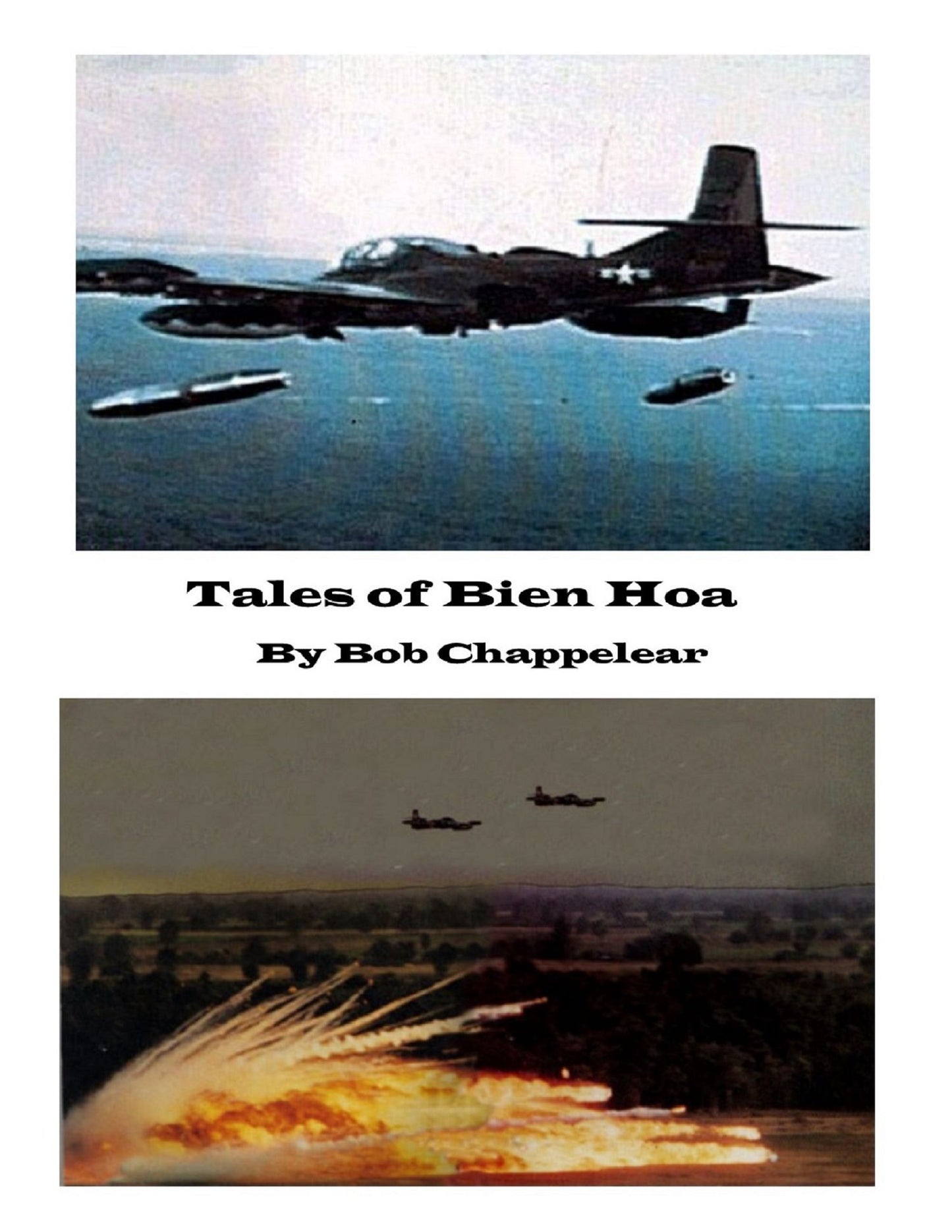Tales of Bien Hoa