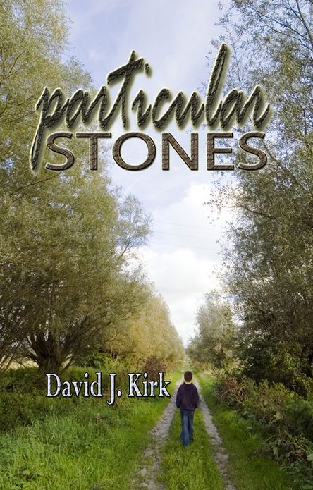 Particular Stones