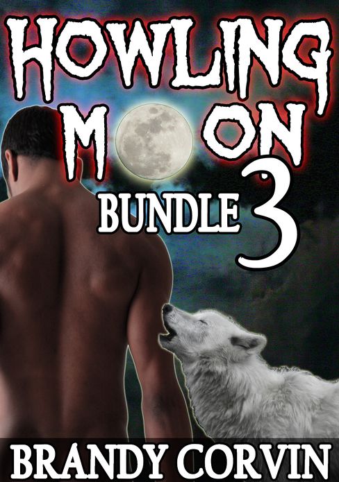 Howling Moon Bundle 3: 3 steamy erotic stories + 1 bonus werewolf story by Annabel Bastione!