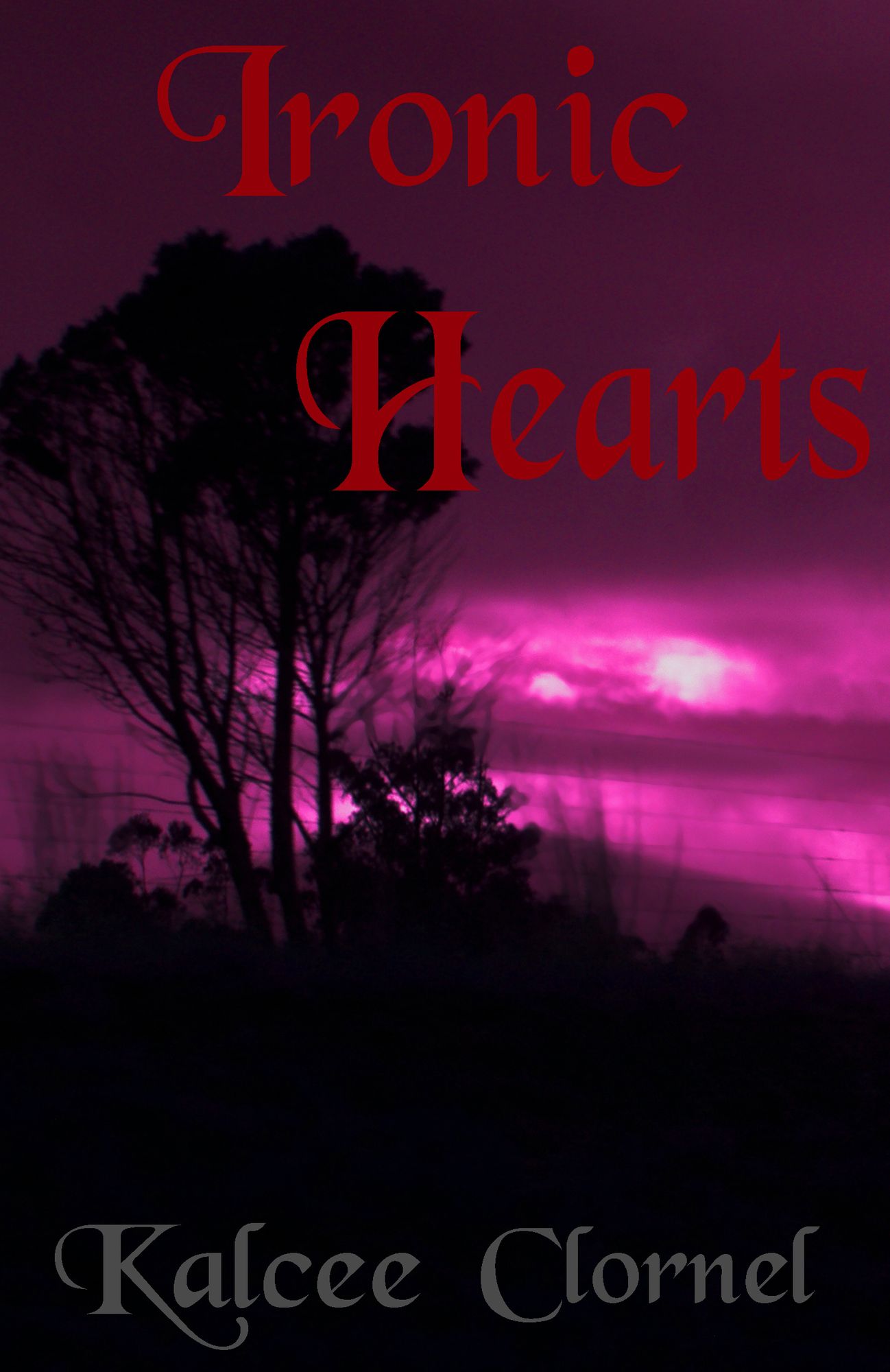 Ironic Hearts (Faerie Believers 02)