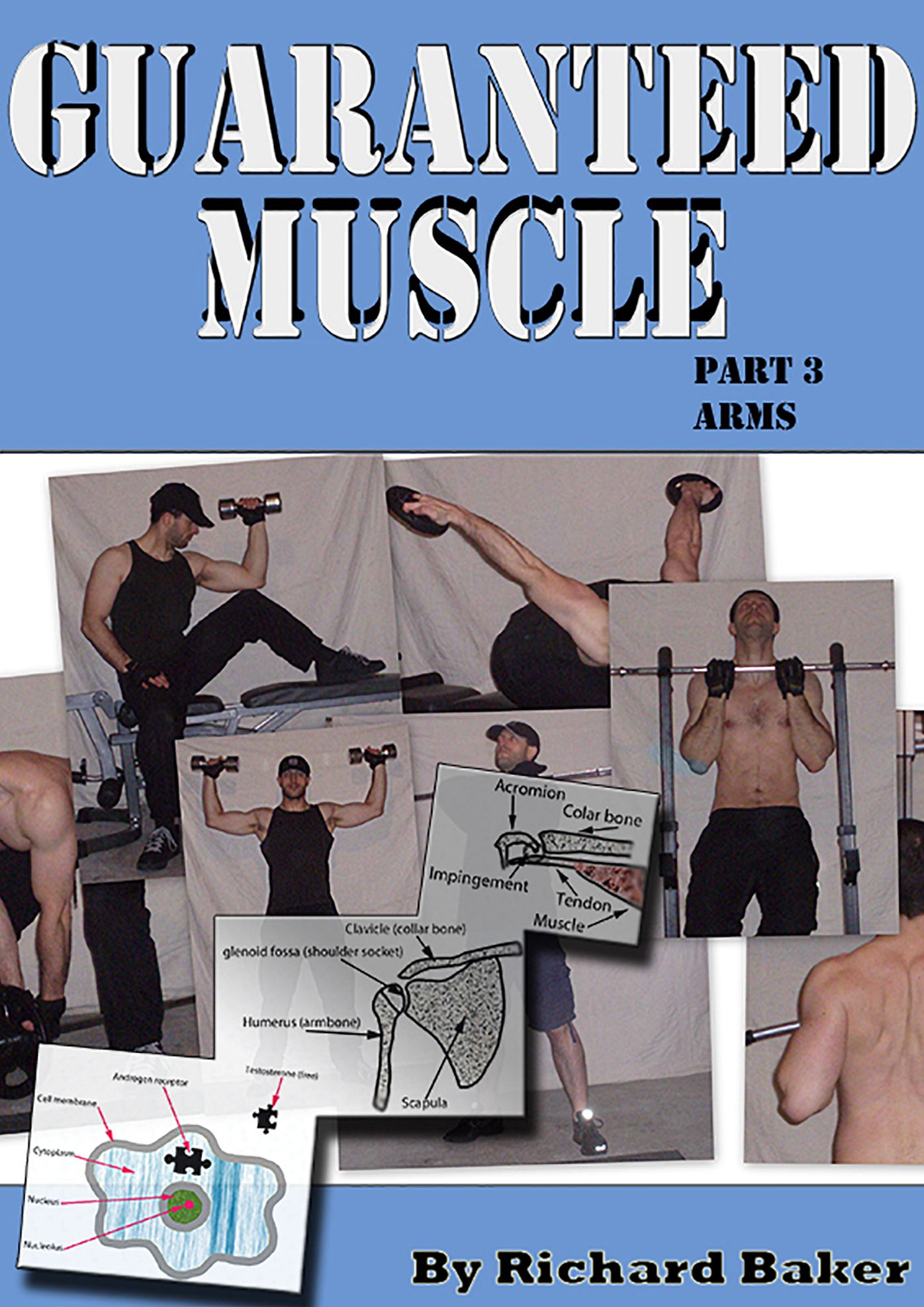 Guaranteed muscle part 3 Arms