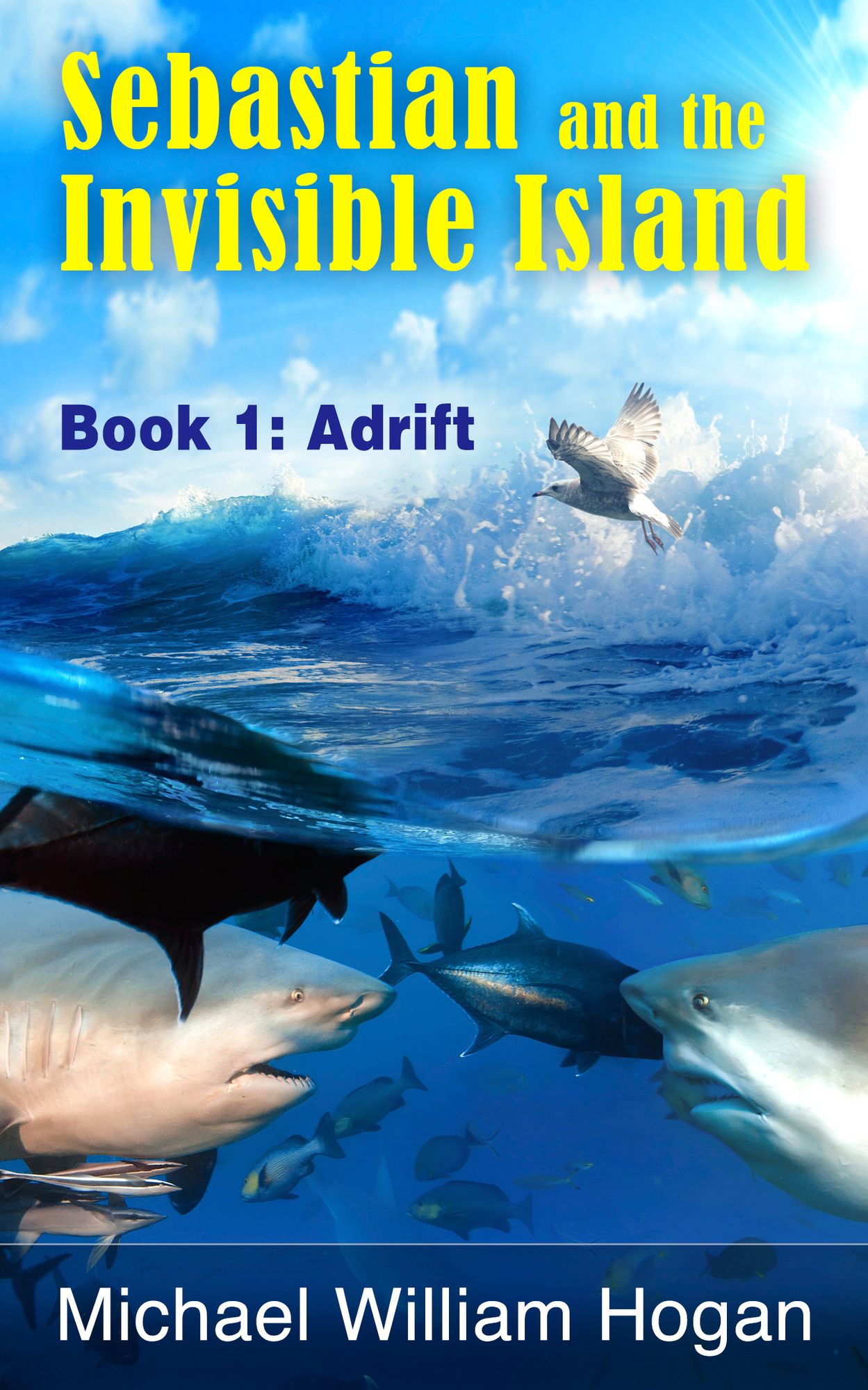 Sebastian and the Invisible Island, Book1: Adrift