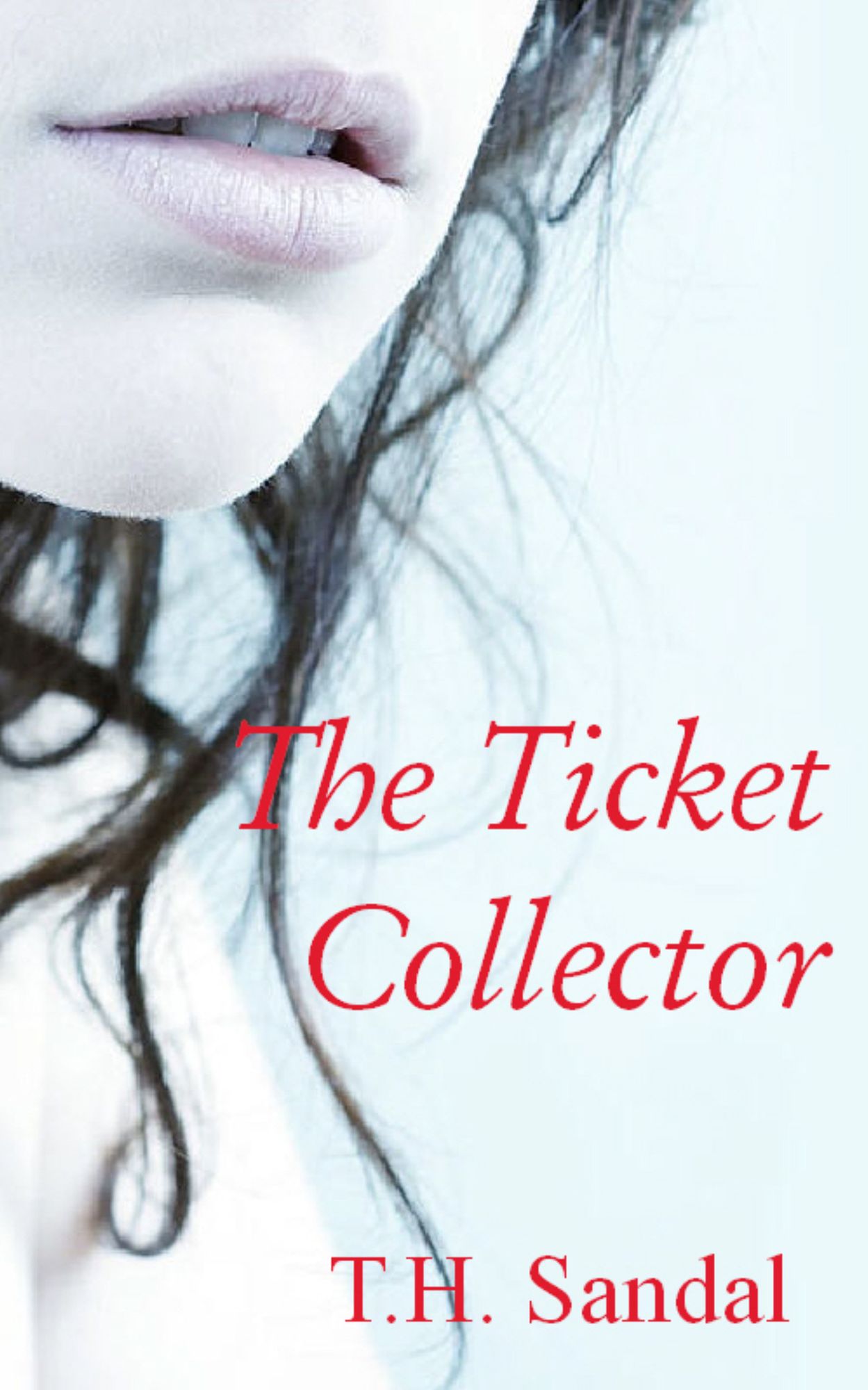 The Ticket Collector