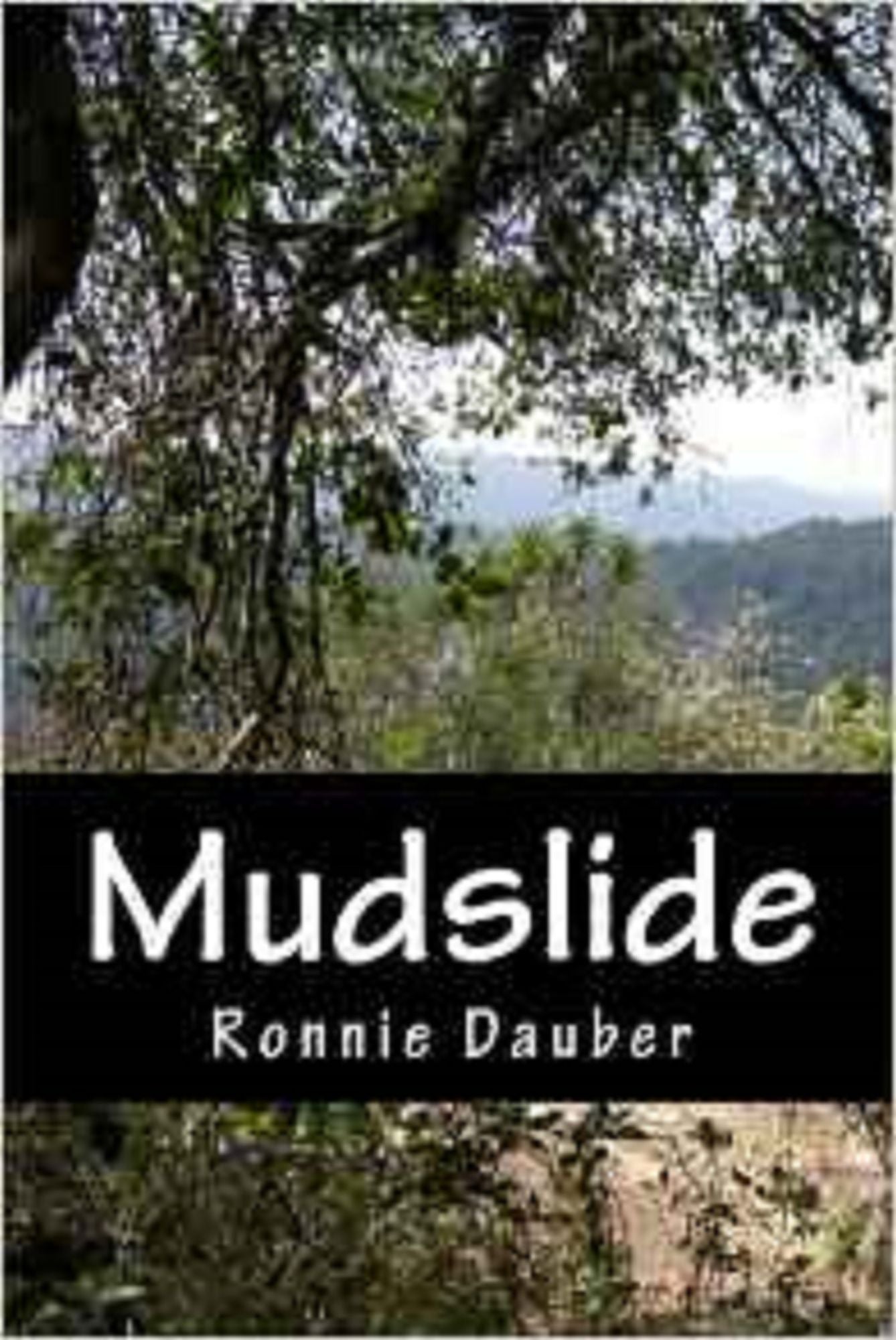 Mudslide