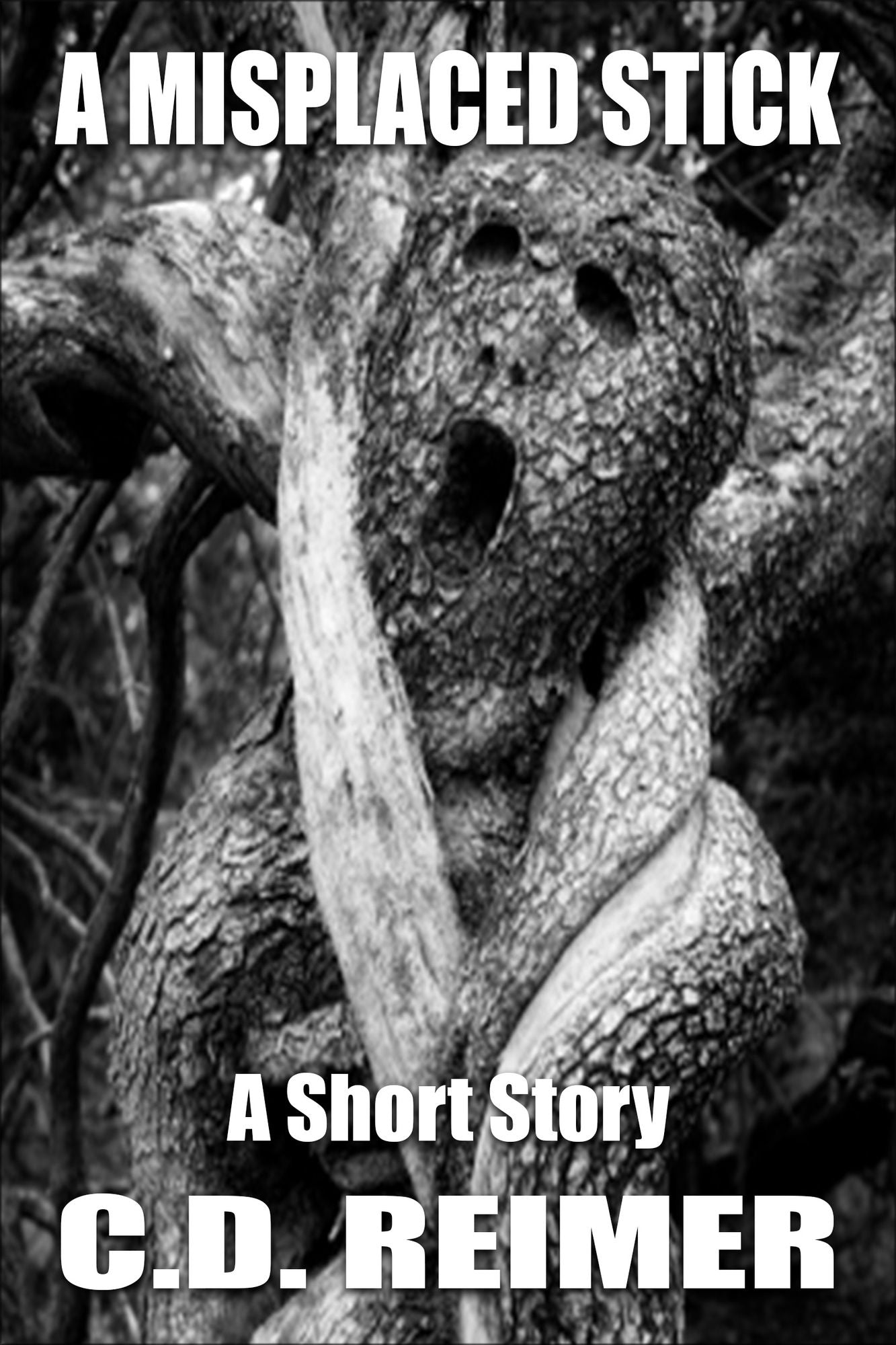 A Misplaced Stick (Short Story)