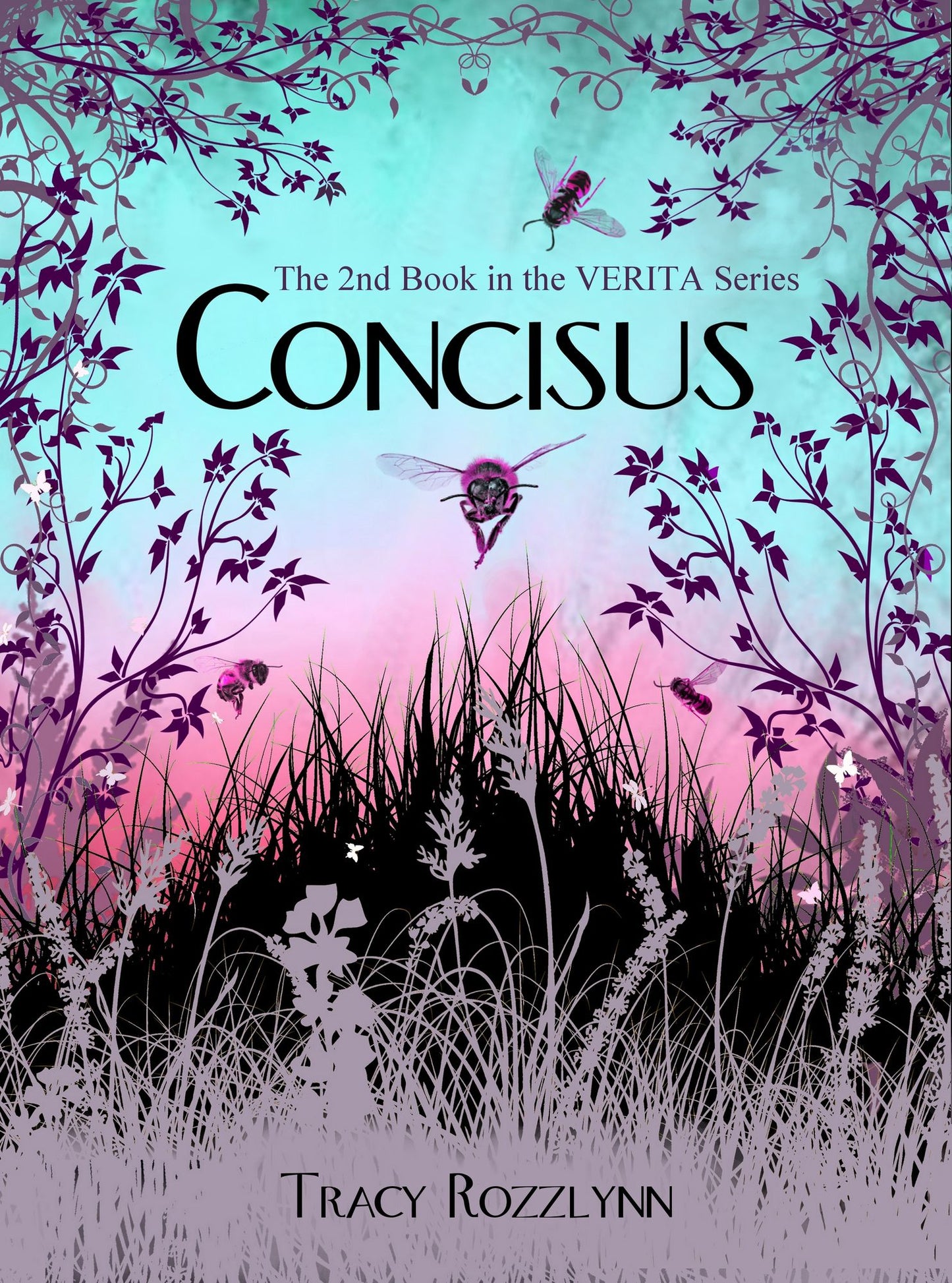 Concisus (Book 2 in the Verita Series)