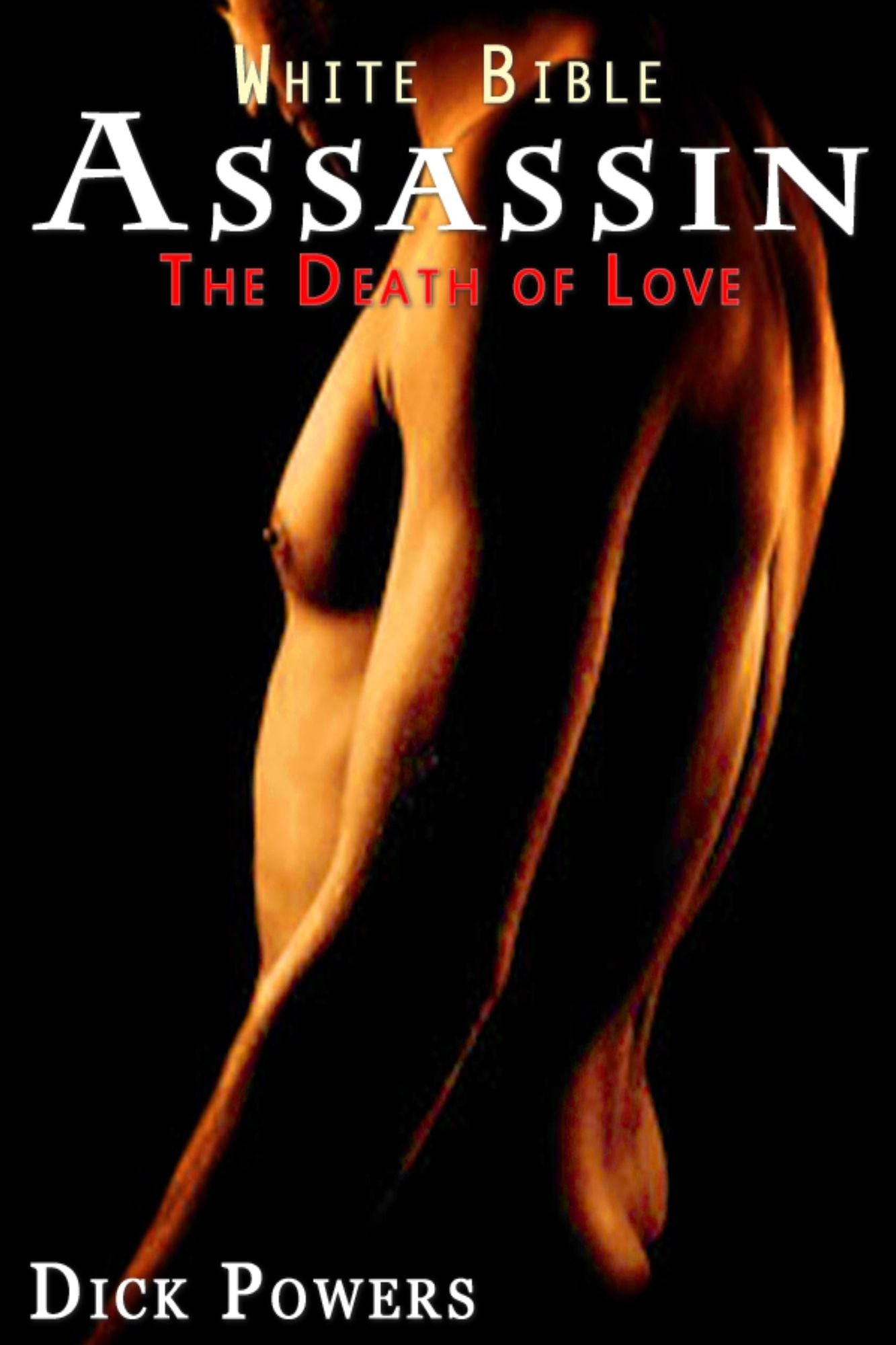 White Bible #9: Assassin 'The Death Of Love' (Gay Erotica)