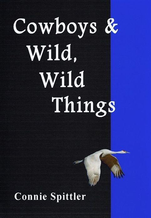 Cowboys, Campfires & Wild, Wild Things