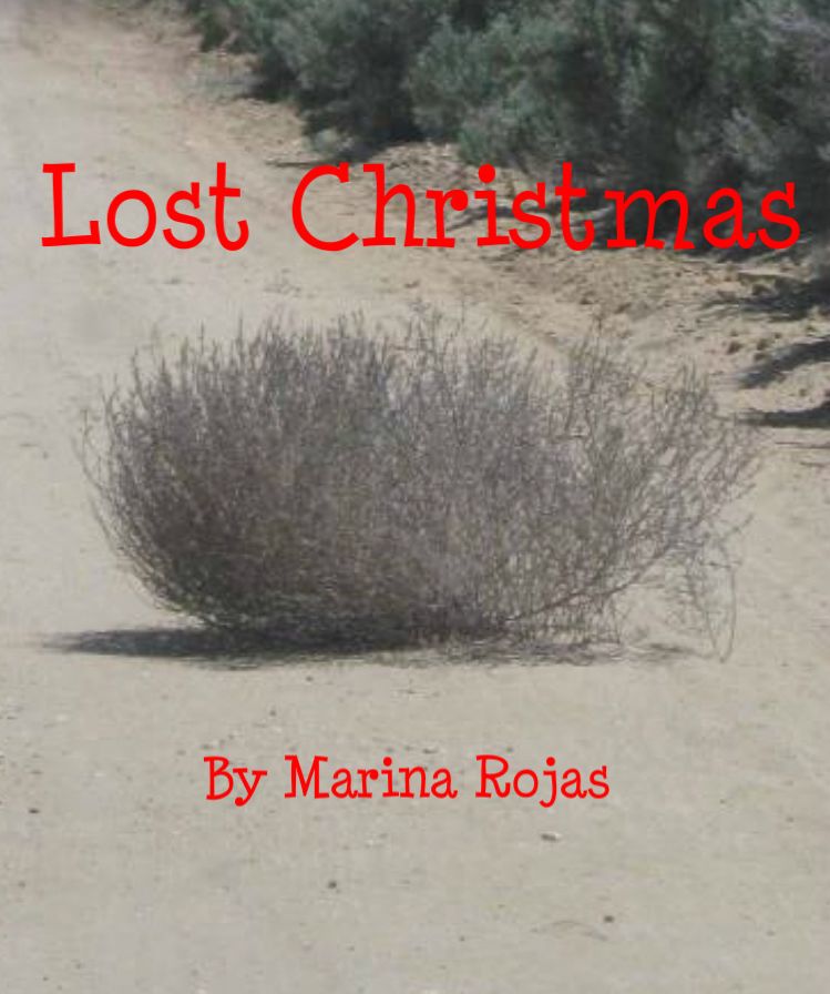 Lost Christmas