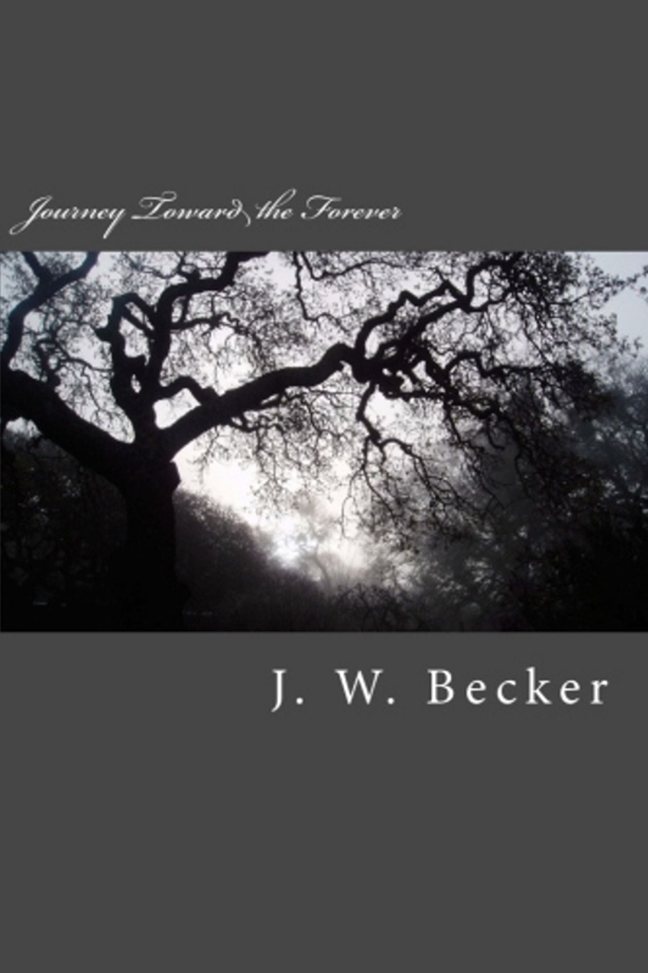 Journey to the Forever