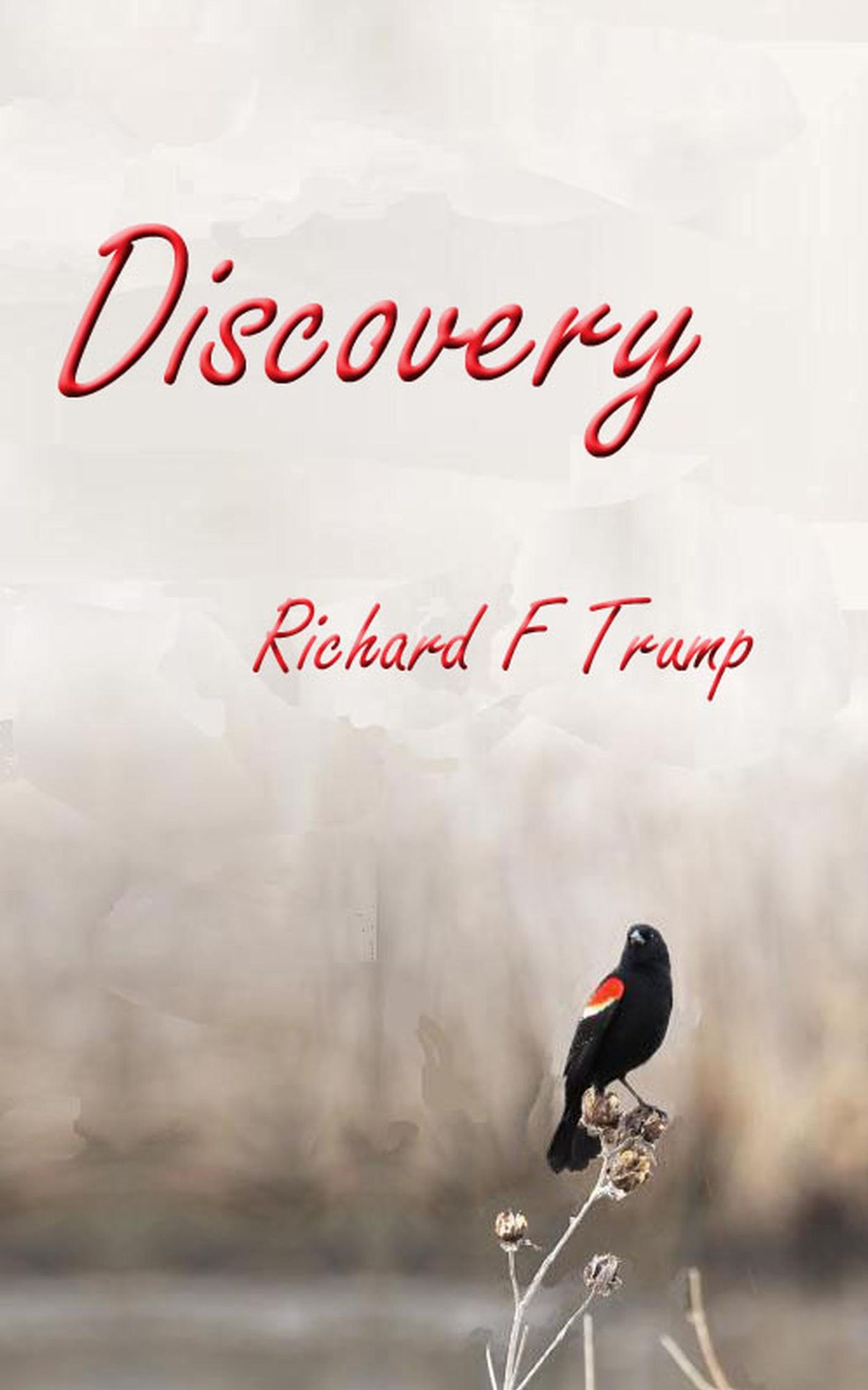Discovery: Field Notes of a Naturalist