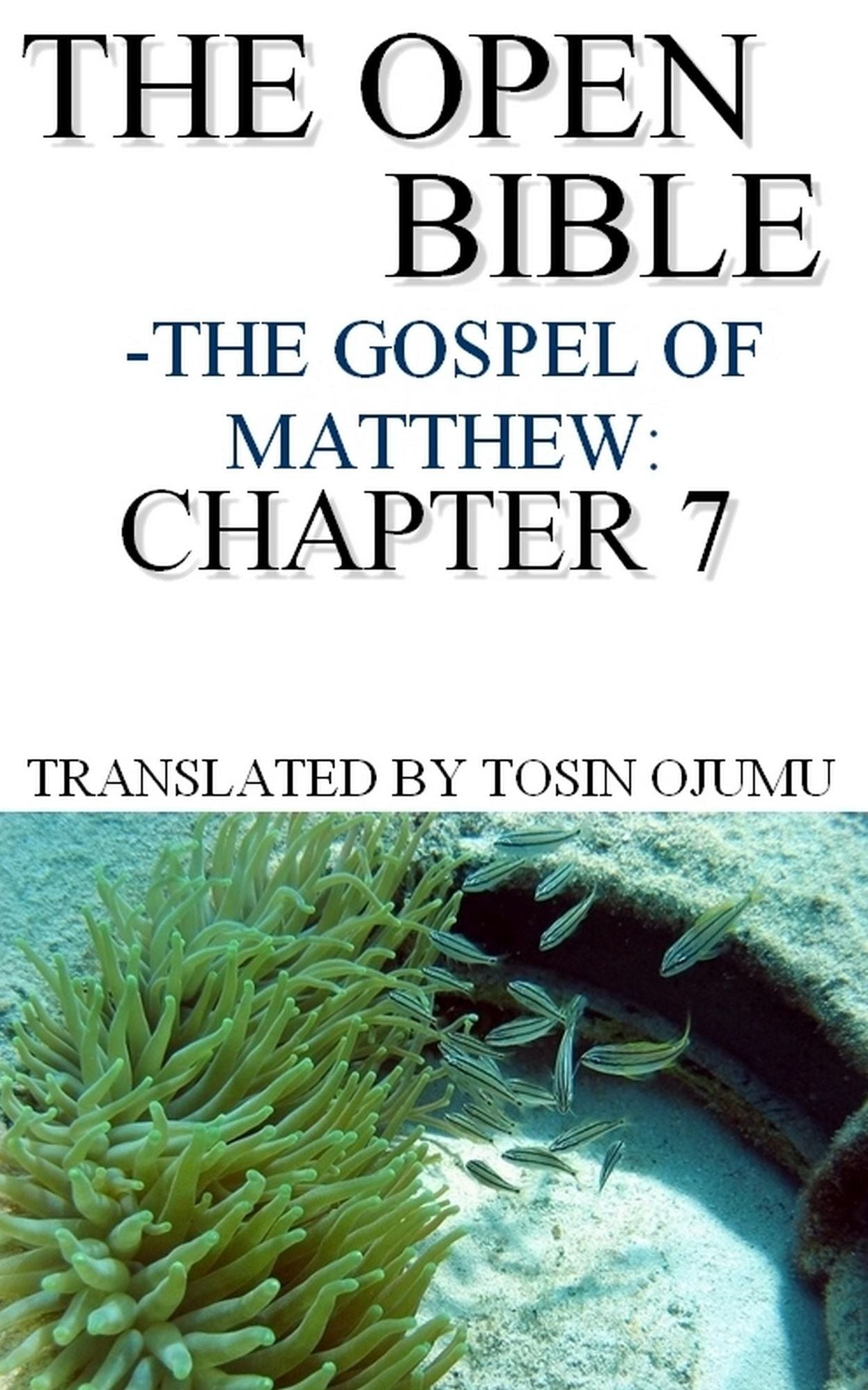 The Open Bible: The Gospel of Matthew: Chapter 7