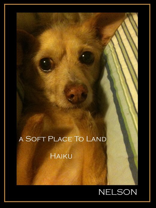 A Soft Place To Land