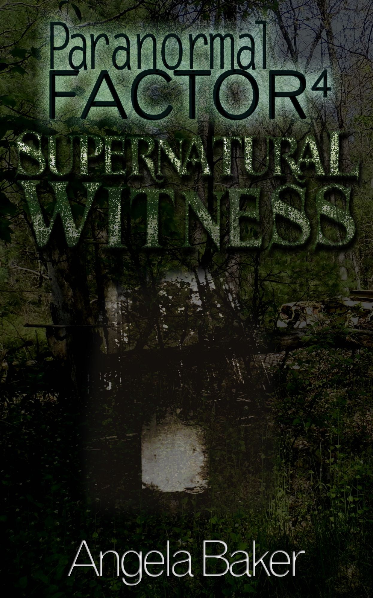 Paranormal Factor: Supernatural Witness 4