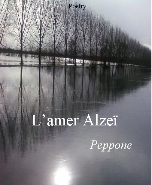 L'amer Alzeï