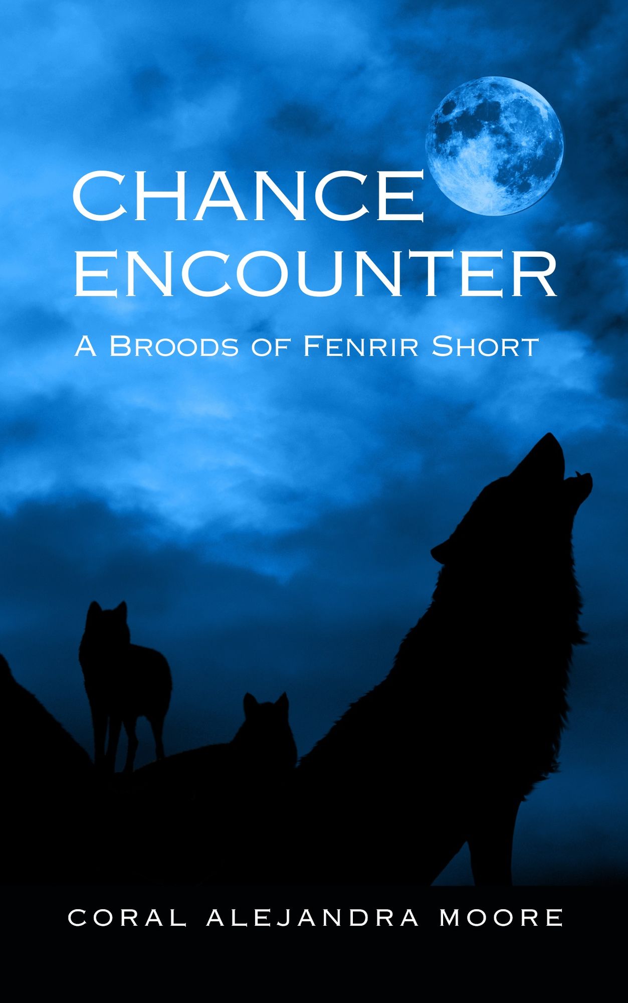 Chance Encounter