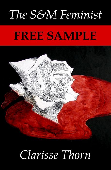 Short Free Sample: The S&M Feminist