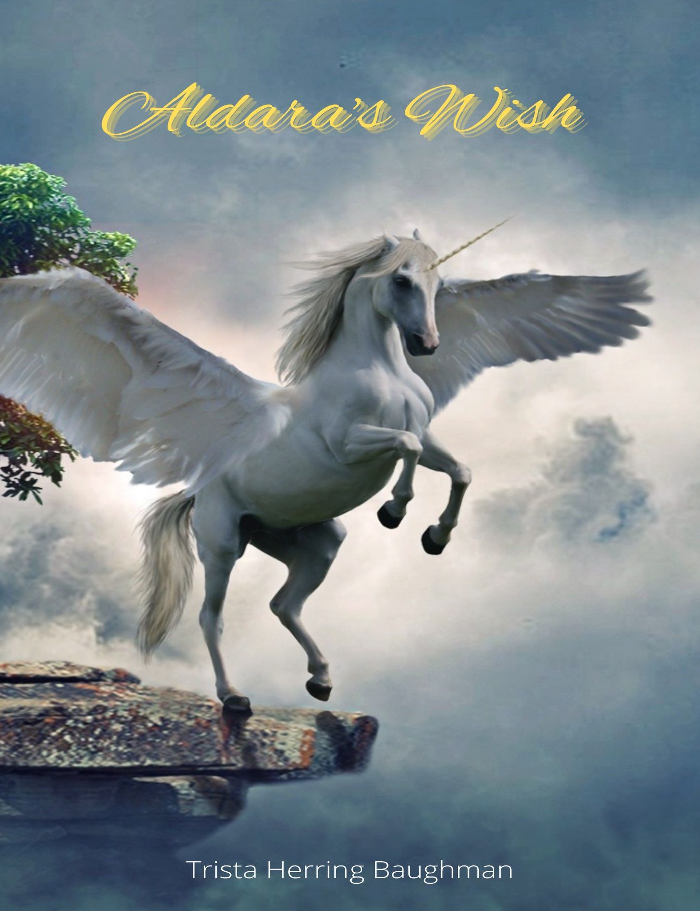 Aldara's Wish