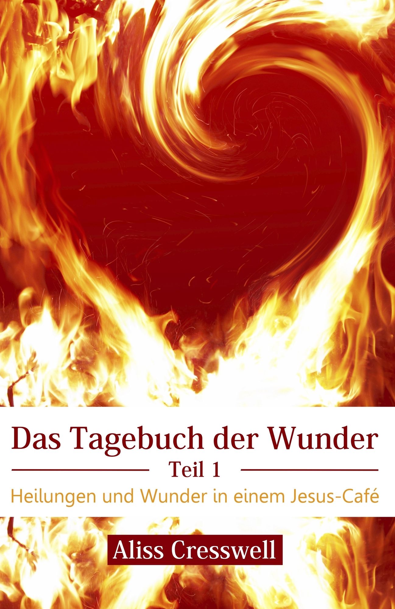 Das Tagebuch der Wunder