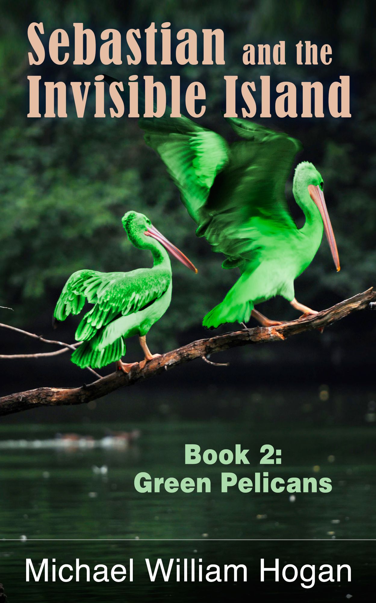 Sebastian and the Invisible Island, Book 2: Green Pelicans