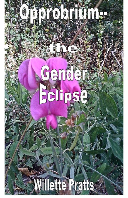 Opprobrium--the Gender Eclipse