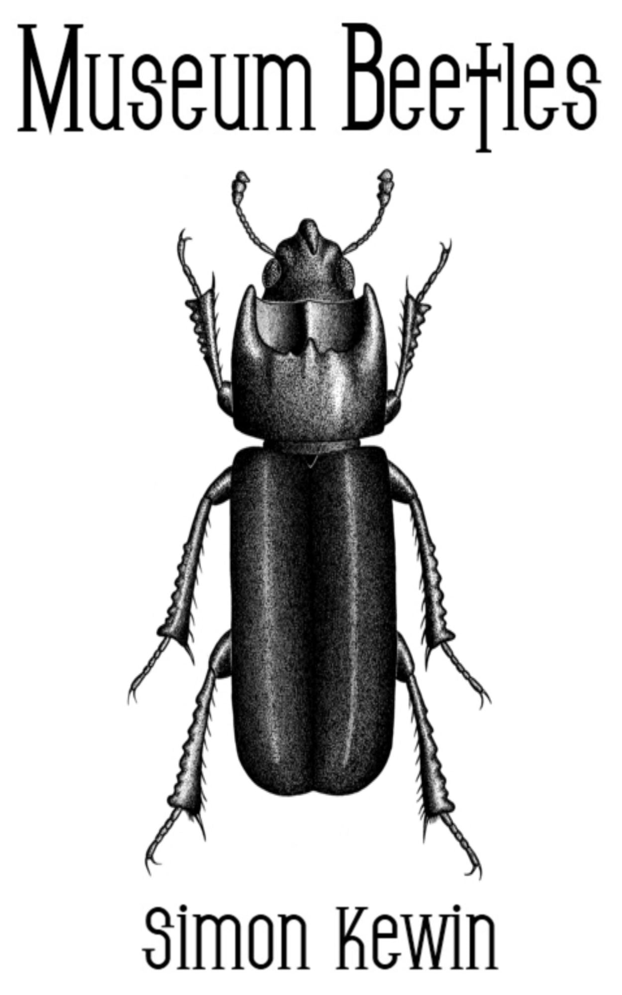 Museum Beetles