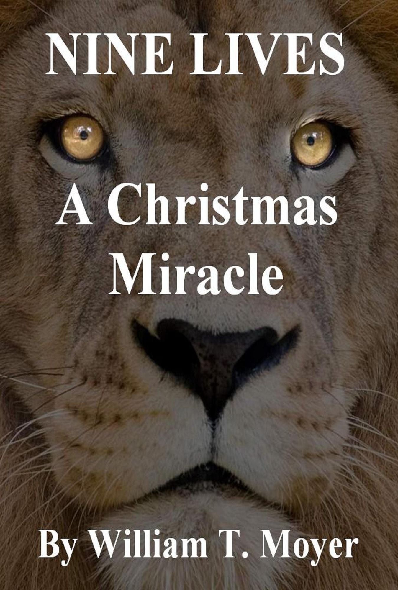 A Christmas Miracle