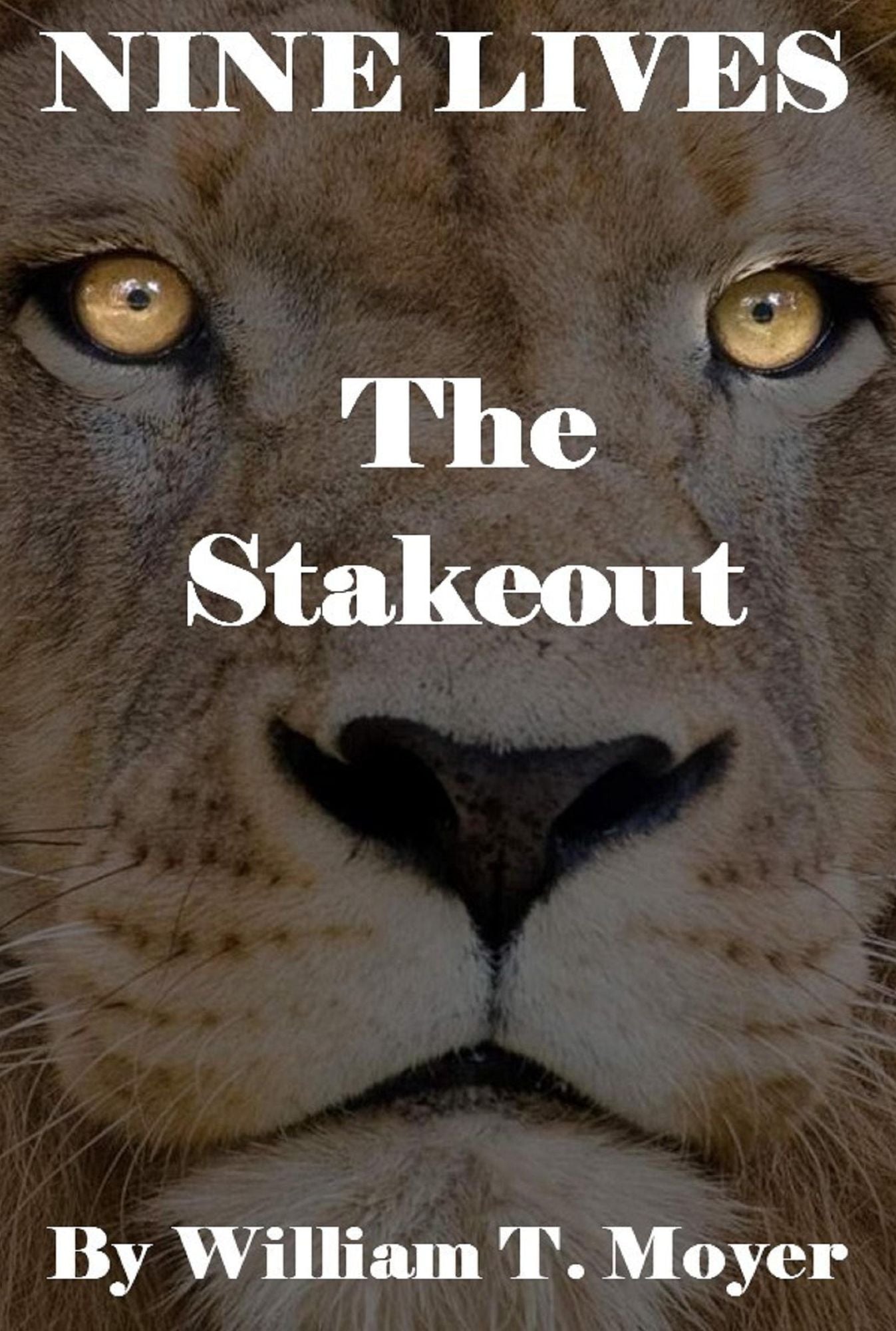 The Stakeout