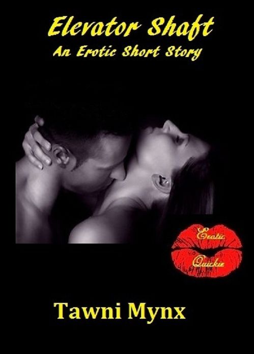 Elevator Shaft: An Erotic Short Story
