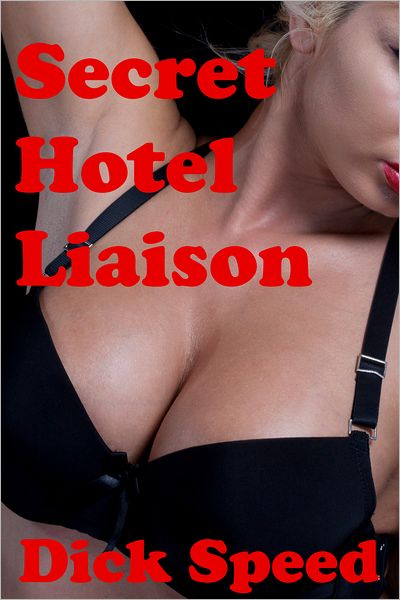 Secret Hotel Liaison