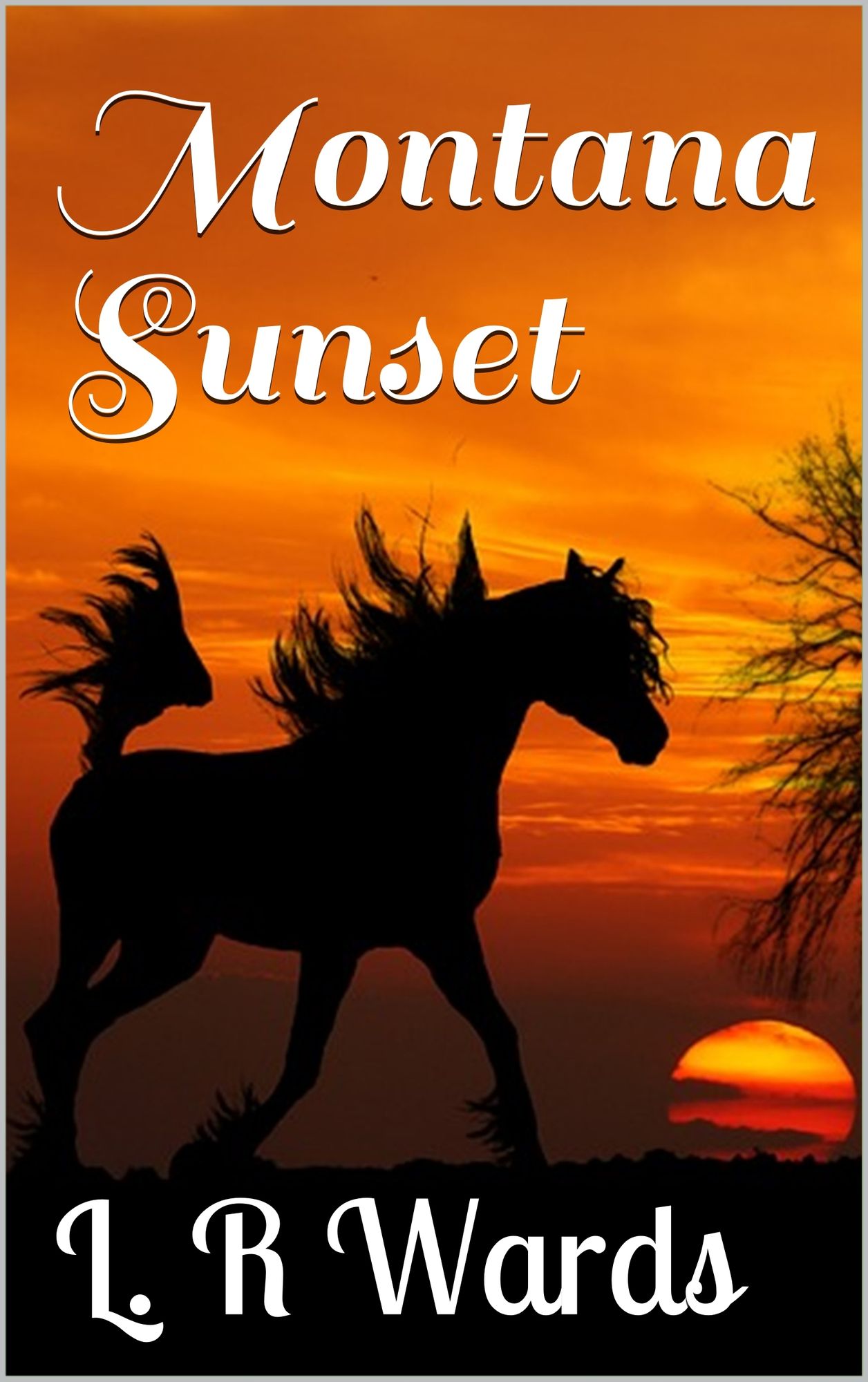Montana Sunset