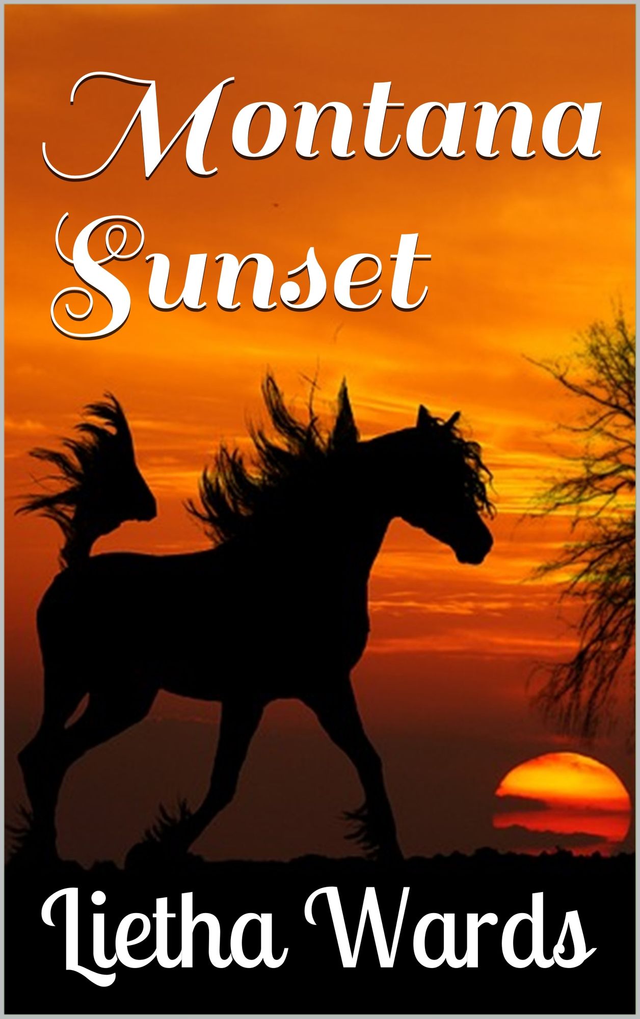 Montana Sunset