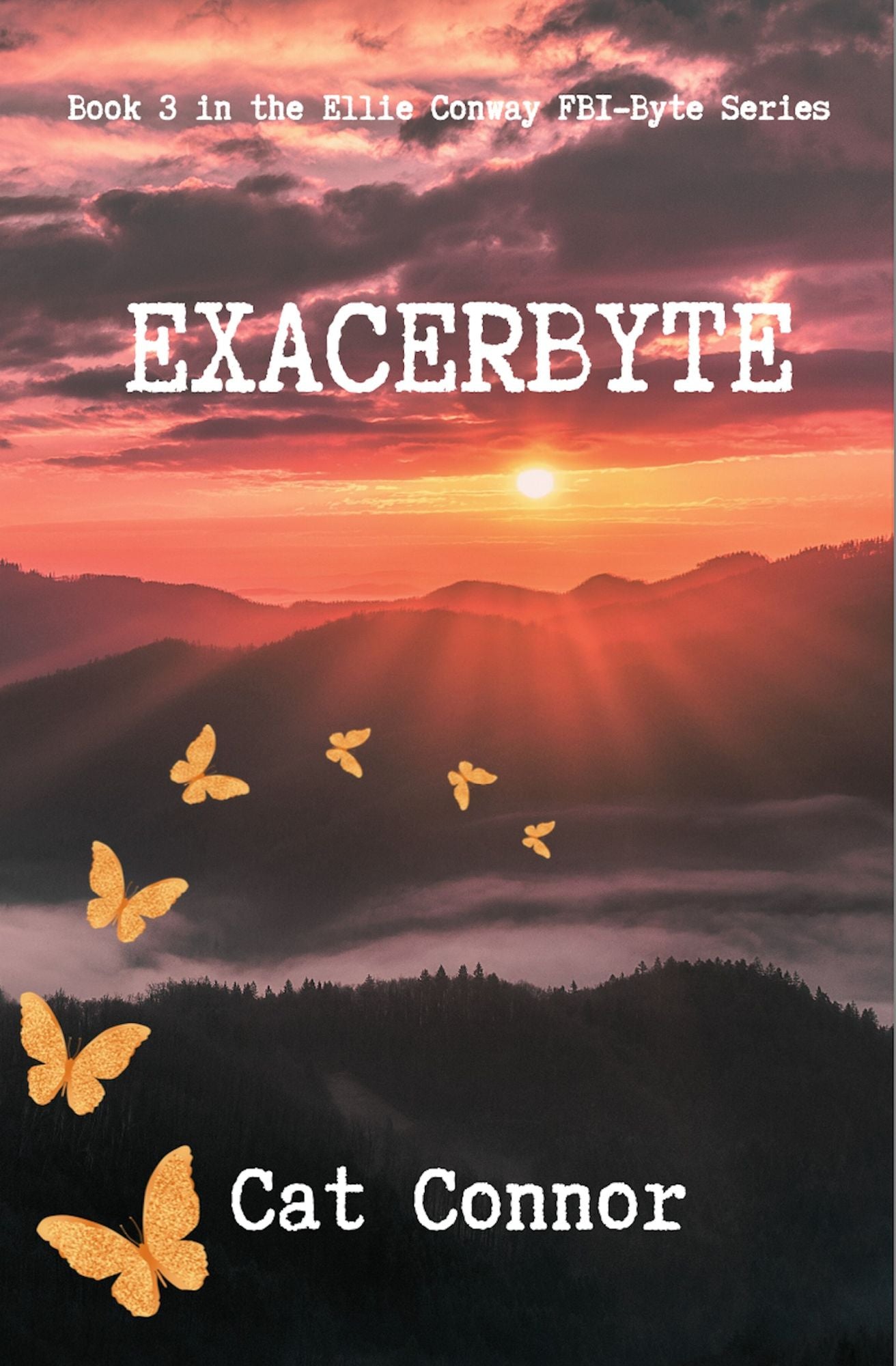 Exacerbyte