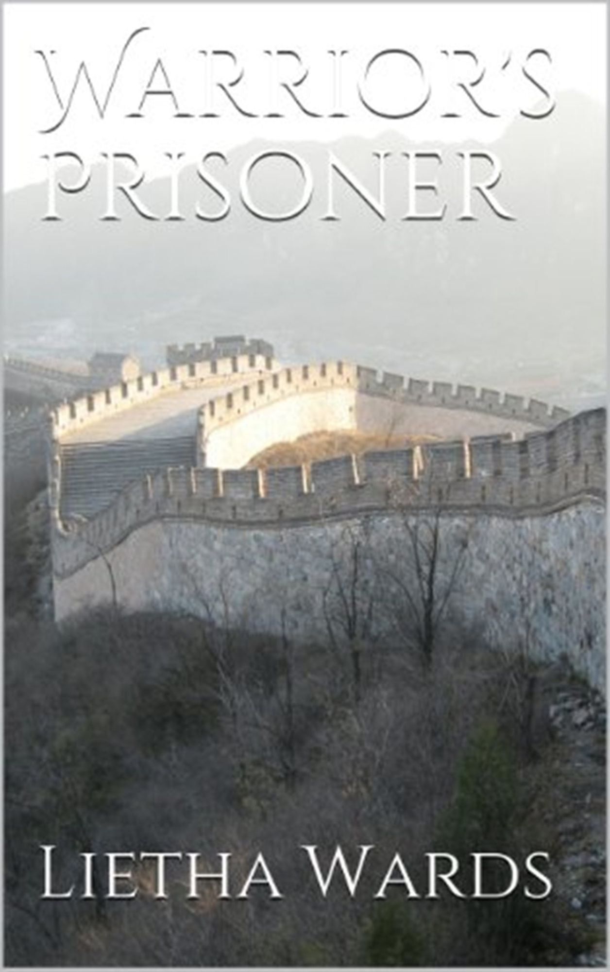 Warrior's Prisoner