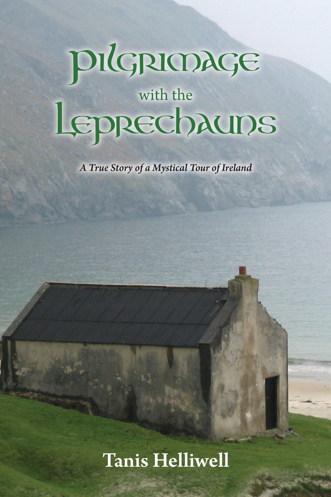 Pilgrimage with the Leprechauns: A true story of a mystical tour of Ireland
